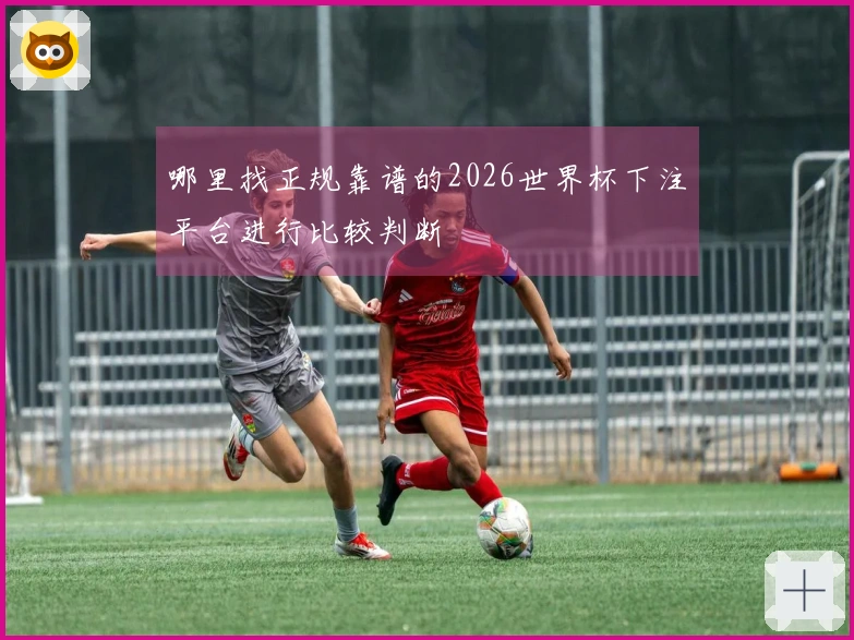 哪里找正规靠谱的2026世界杯下注平台进行比较判断