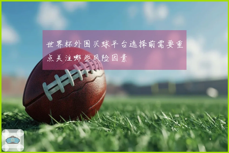 世界杯外围买球平台选择前需要重点关注哪些风险因素