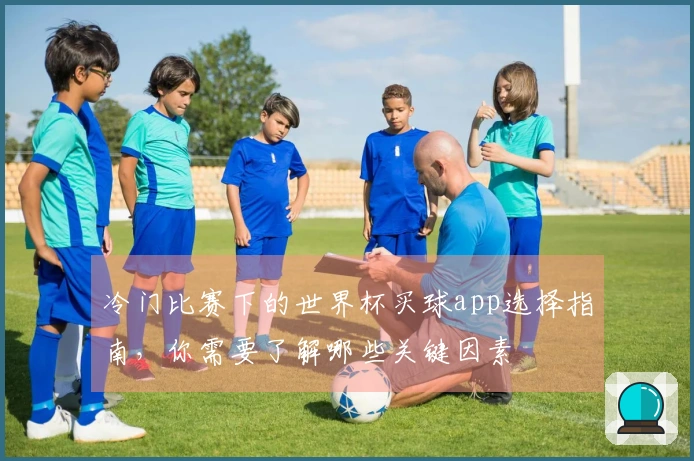 冷门比赛下的世界杯买球app选择指南，你需要了解哪些关键因素