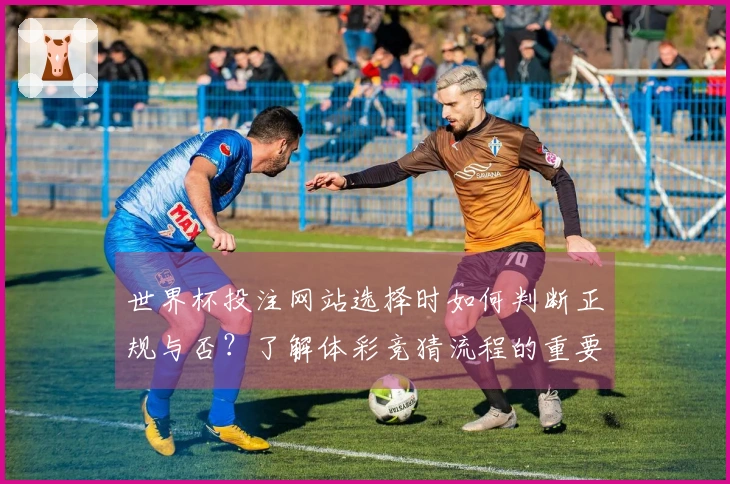 世界杯投注网站选择时如何判断正规与否？了解体彩竞猜流程的重要性