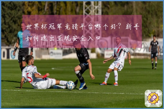 世界杯冠军竞猜平台哪个好？新手如何选出正规安全入口