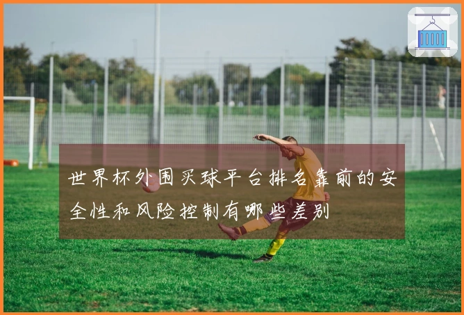世界杯外围买球平台排名靠前的安全性和风险控制有哪些差别