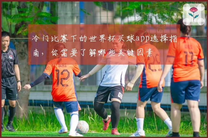 冷门比赛下的世界杯买球app选择指南，你需要了解哪些关键因素